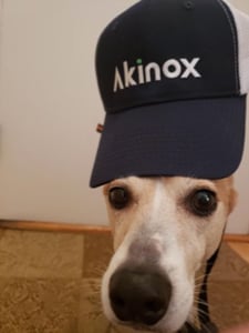 AKINOX-CHIEN-300x401-Q60-2