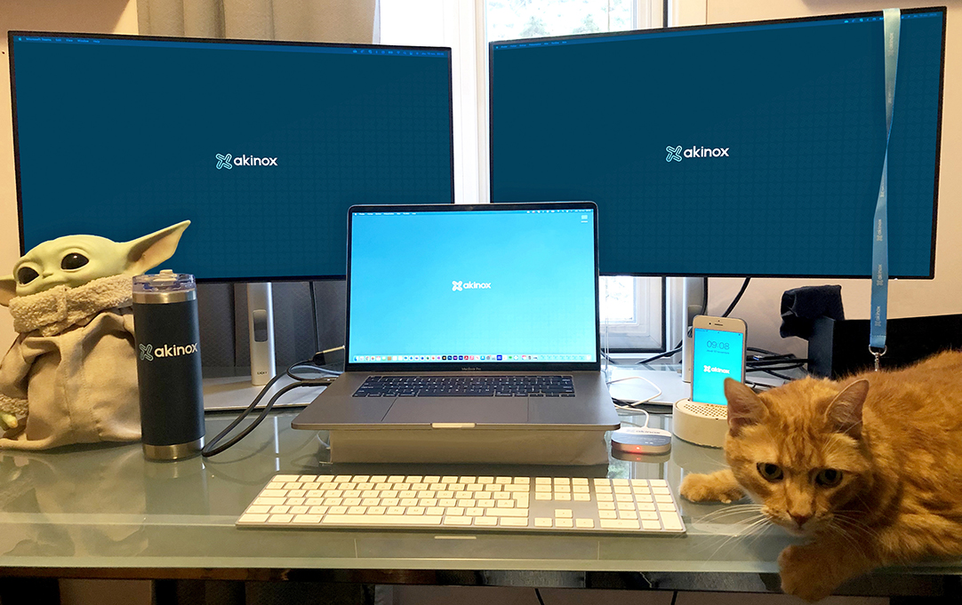Teleworking-Teletravail