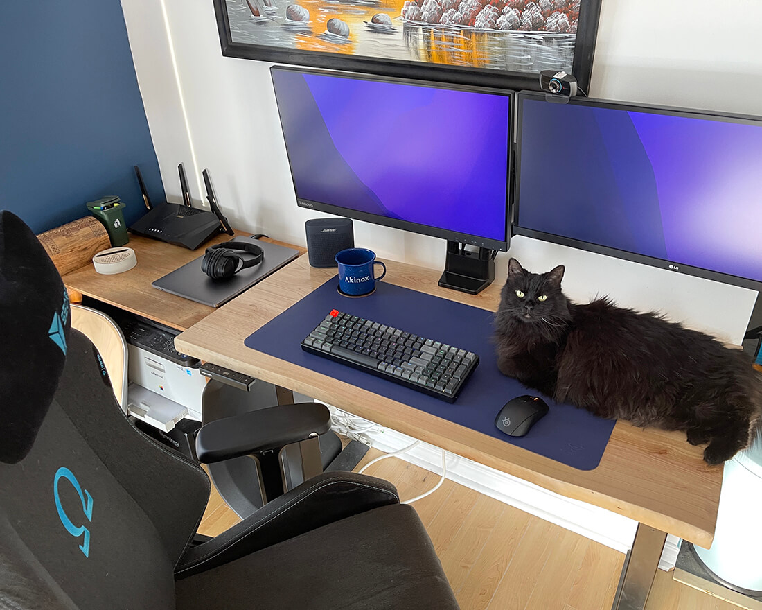 Teleworking